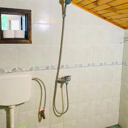 роза *