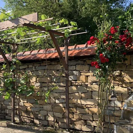 роза Holiday home *