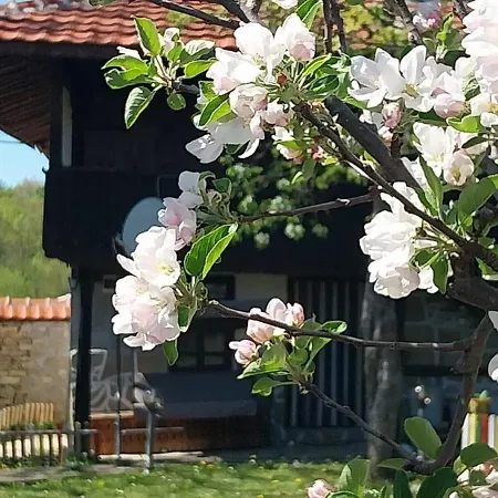 Holiday home роза *