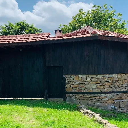 роза
