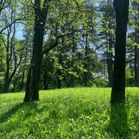 роза