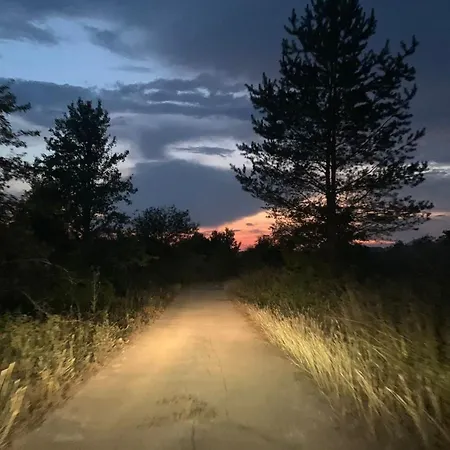 度假居 роза *