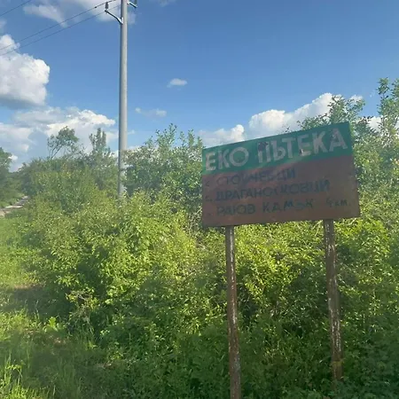 роза * 埃伦娜