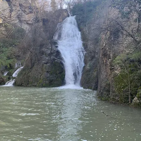 度假居 роза *