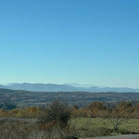 роза