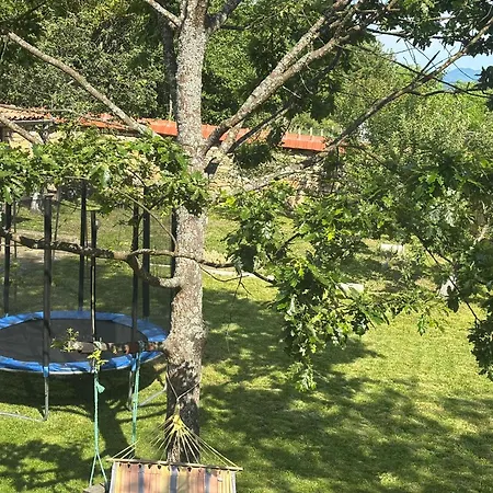 Holiday home роза *