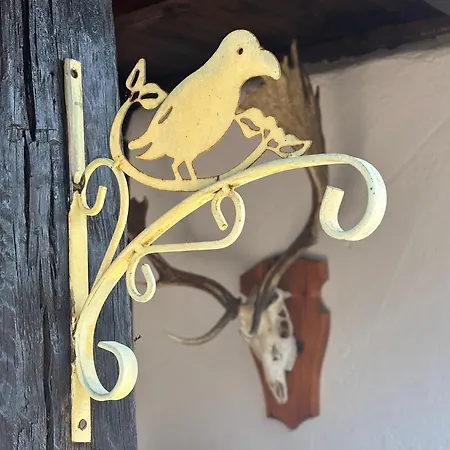 роза Holiday home