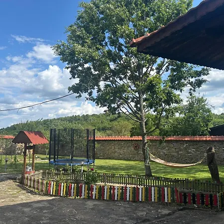 роза