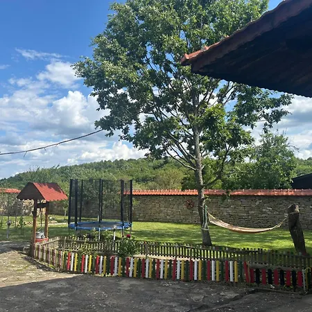 роза