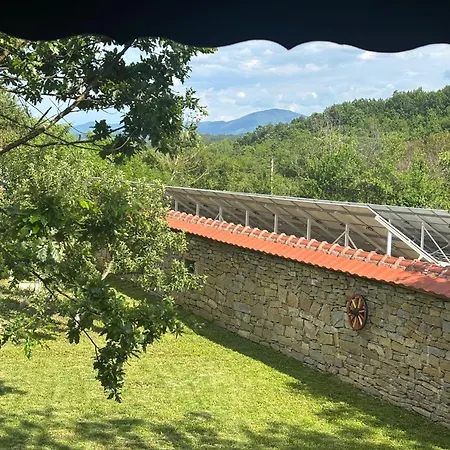 роза Holiday home Elena