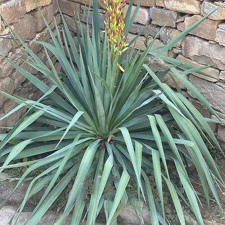 роза 度假居 *